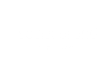 gallery/final_social brand assessment logo_on red